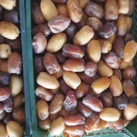 رطب عسلی|حراج|تهران, صاحب الزمان|دیوار