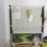 دارقالی