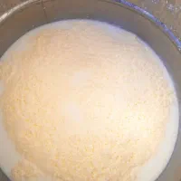 کره شیر و دوغ محلی