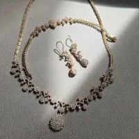 سرویس بدلیجات