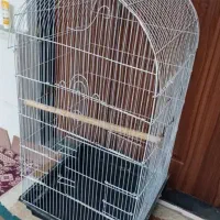 قفس پرنده|لوازم جانبی حیوانات|رشت, پیرکلاچای|دیوار