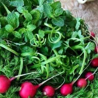 سبزی خوردن پاک شده و تمیز