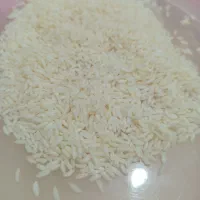 برنج عنبربوخوزستان