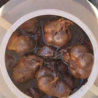 سیرترشی ۸ ساله ارگانیک تضمینی|خوردنی و آشامیدنی|کرج, آق تپه|دیوار
