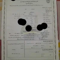 حج تمتع بهمن۸۶|فعالیت داوطلبانه|اهواز, نبوت|دیوار