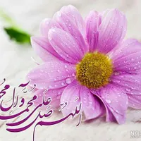 مدرسه شاهد پسرانه