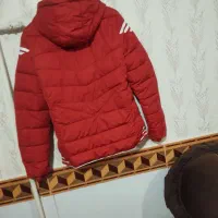 کاپشن اسپرت|لباس|ملایر, |دیوار