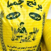 فروش برنج عنبربو، فجر و چمپا با کیفیت