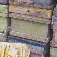 کندوی عسل خالی بدون شکستگی|لوازم جانبی حیوانات|تاکستان, |دیوار