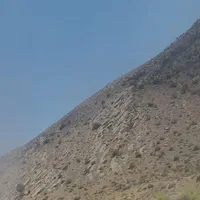 کوه نوردی.