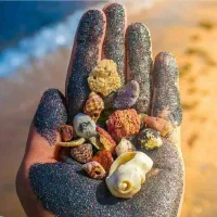 بزن بریم قشم