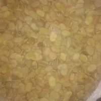 باقله