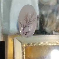 شجر تک درخت