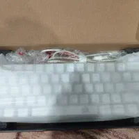 دوستان ما یک کیبورد میکانیکال داریم|قطعات و لوازم جانبی رایانه|قم, حنیف نژاد|دیوار