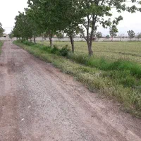 زمین-1000متری-فروشی-معاوضه-باخودرو