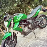 بنلی جفت۳۱۰