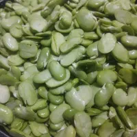 باقالی سبزسبز