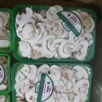 قارچ اسلایس