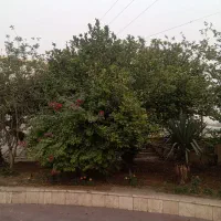 اکیپ داربست فلزی وساندویچ پنل ورق..|خدمات پیشه و مهارت|جیرفت, |دیوار