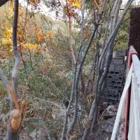 سویت نقلی لب آب باغبهادران.فوری.فوری.|اجارهٔ خانه و ویلا|باغ بهادران, |دیوار