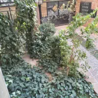 اجاره-مستغلات-تاپ-لوکیشن-دروس