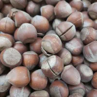 فندق تازه درجه یک به شرط فقط ۸کیلو موجوده