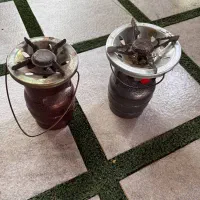 پیک نیک