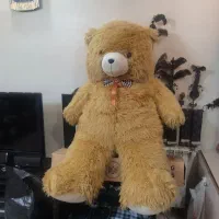 شاسخین خرس فوق بزرگ