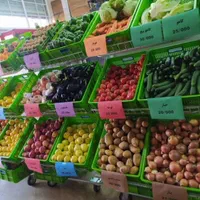 استند میوه و سبزیجات|فروشگاه و مغازه|یزد, |دیوار