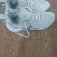 کفش.اورجینال