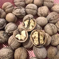 فروش 90کیلو  گردوی تازه امسال مغز پر و سفید