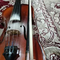 ویلن  حرفه ای