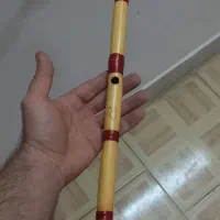 سوپر نی سه مهر|سازهای بادی|اصفهان, پارک سلمان فارسی|دیوار