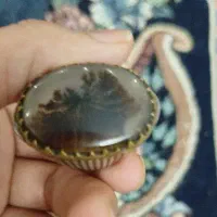 انگشتر شجر