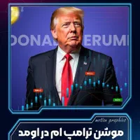موشن گرافیک  استوری موشن تدوین ویدیو هویت بصری|خدمات رایانه‌ای و موبایل|کرج, باغستان|دیوار