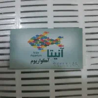 فروش اکواریوم و ماهی تزیینی