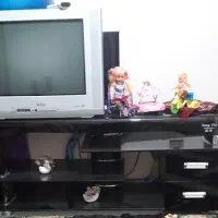 تلوزیون رنگی ۲۱|تلویزیون و پروژکتور|مرودشت, فرهنگ|دیوار