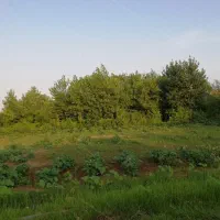 زمین-قابل-ساخت-طش