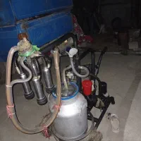 شیردوش برقی تکی