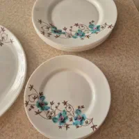 بشقاب لومینارک فرانسه