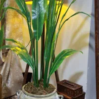 درختچه های مصنوعی|گل مصنوعی|شهریار, شهرک بهاران (ویره)|دیوار