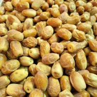 خرمای زاهدی صادراتی ویژه تازه برداشت شده /بوشهر