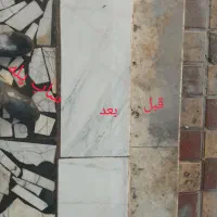کفسابی امید|خدمات پیشه و مهارت|لاهیجان, بازکیاگوراب|دیوار