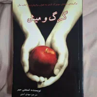 کتاب گرگ و میش