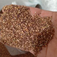 کنجد امسال|عمدهفروشی|بهبهان, |دیوار