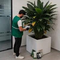 ویزیت آنلاین گیاهان آپارتمانی توسط گیاهپزشک + نسخه