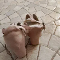 کفش مجلسی|کیف، کفش، کمربند|امیدیه, |دیوار