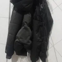 کاپشن نو نو