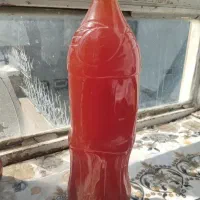 فروش آبغوره