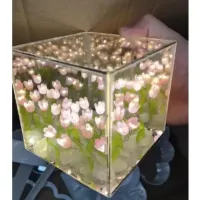 چراغ خواب دشت لاله